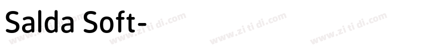 Salda Soft字体转换